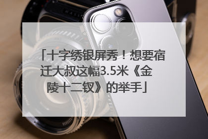 十字绣银屏秀！想要宿迁大叔这幅3.5米《金陵十二钗》的举手